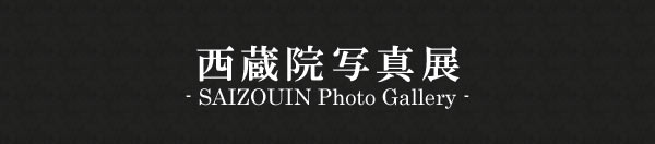 西蔵院写真展
